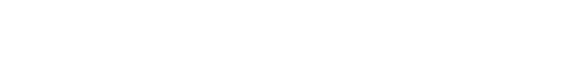 Solution S.r.l. logo
